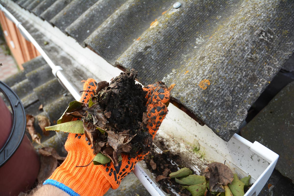 wonderwhite-west-yorkshire-external-cleaning-gutter-cleaning-jet-washing-leaves-blocking-gutter