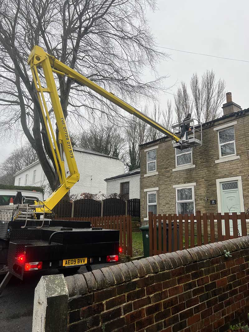 wonderwhite external cleanining window cleaning